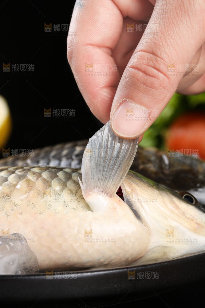 深底上的鲫鱼