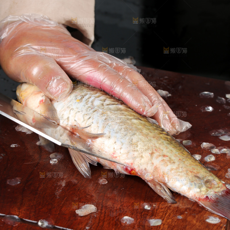 深底上的鲫鱼