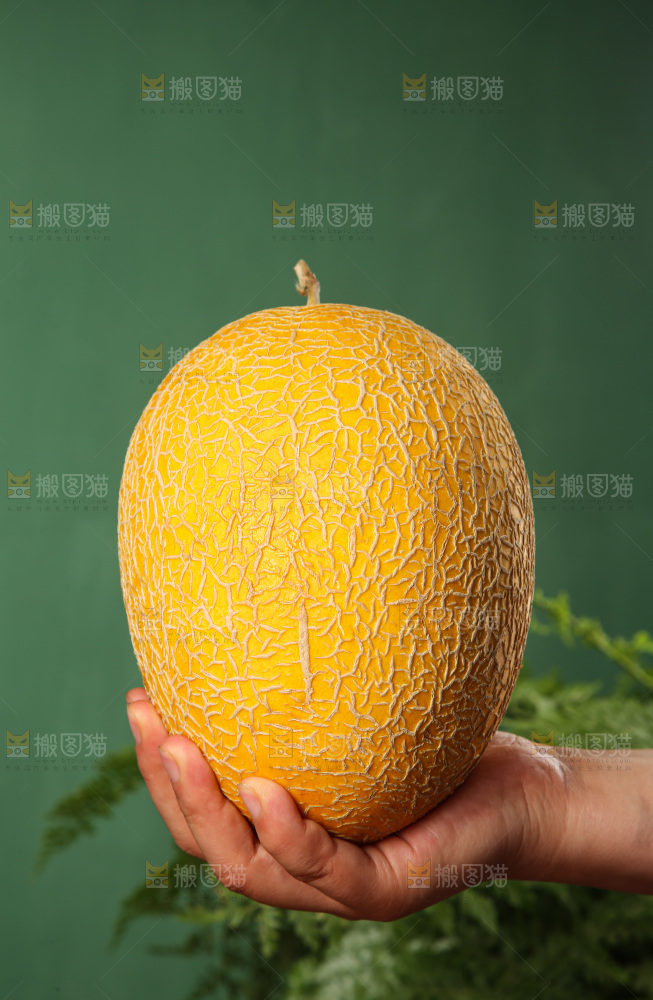 深底上的黄皮哈密瓜