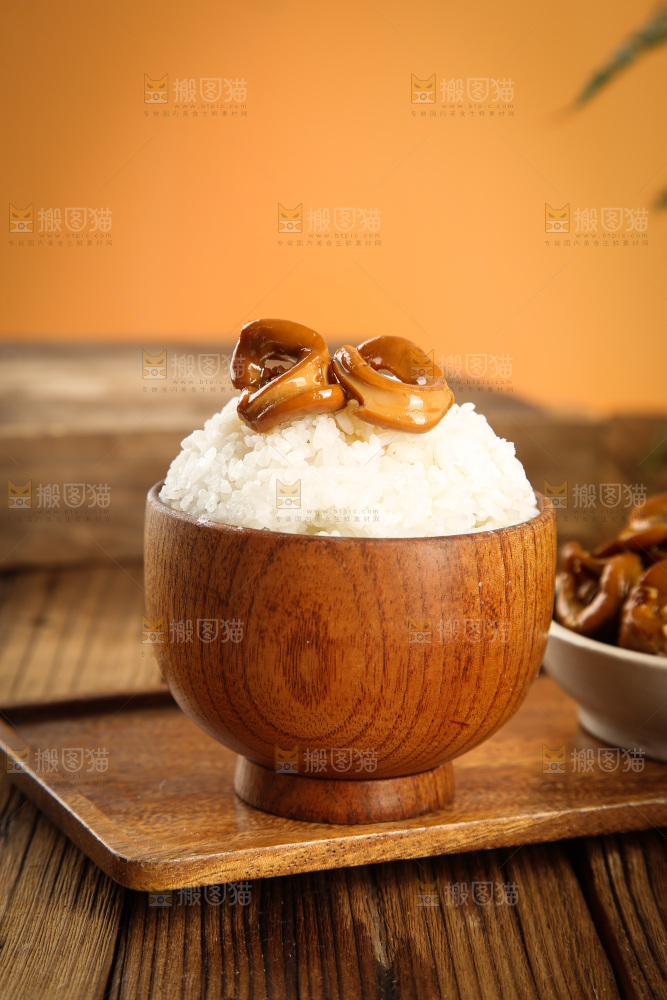 深底上的鱿鱼圈