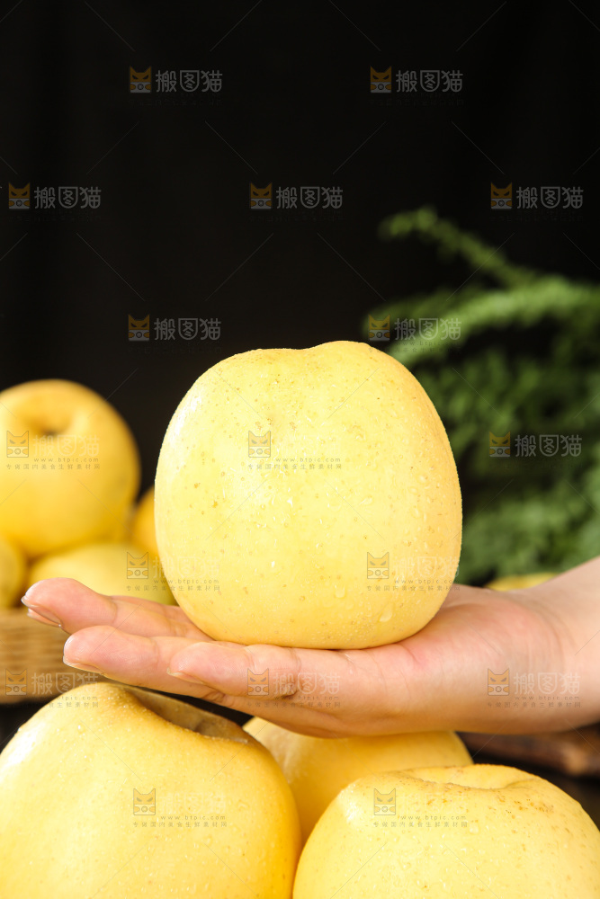 深底上的奶油富士