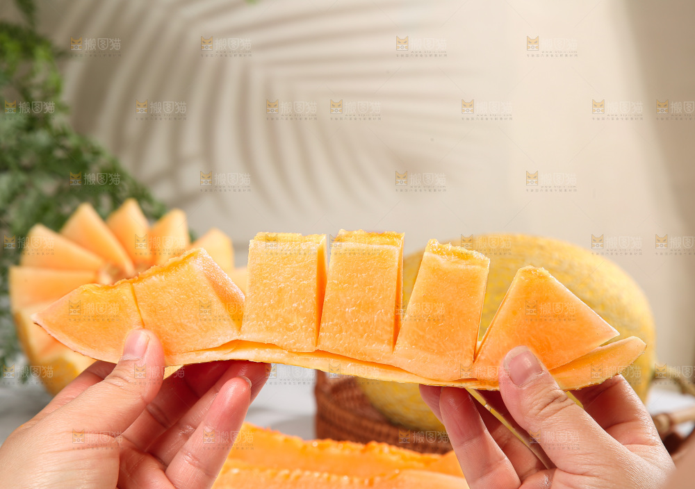 浅底上的黄皮哈密瓜