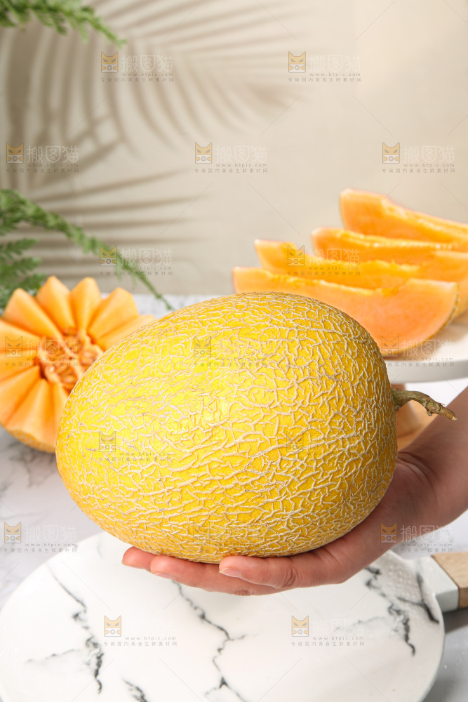 浅底上的黄皮哈密瓜