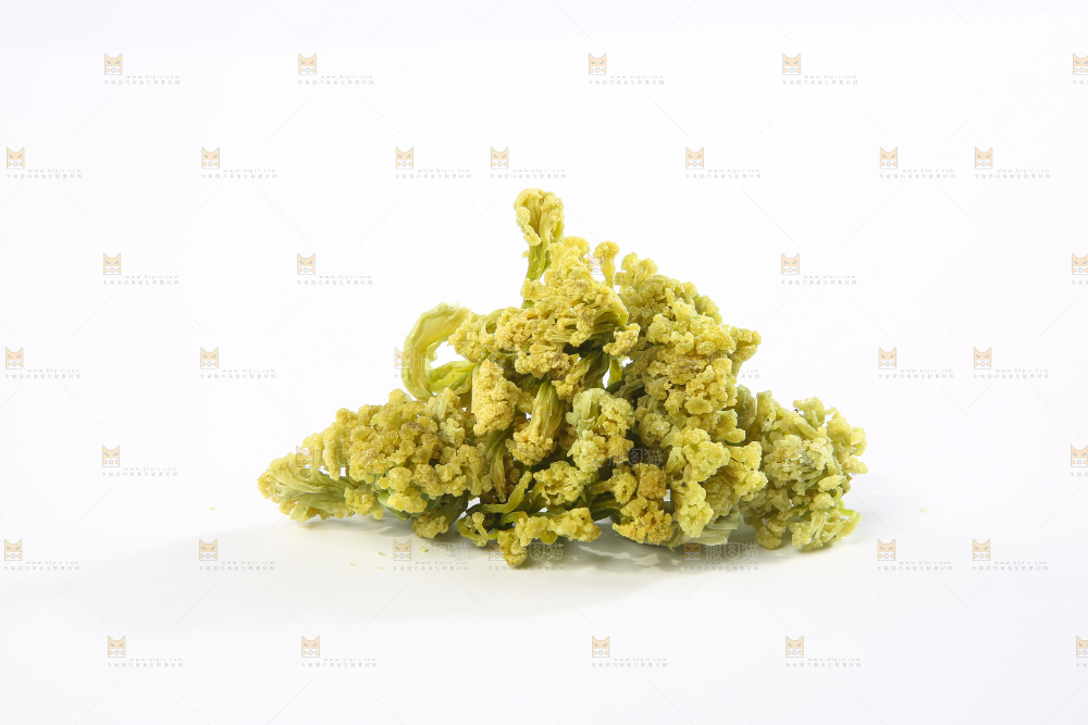 白底上的干花菜