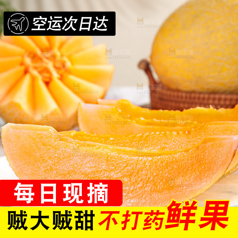浅底上的黄皮哈密瓜