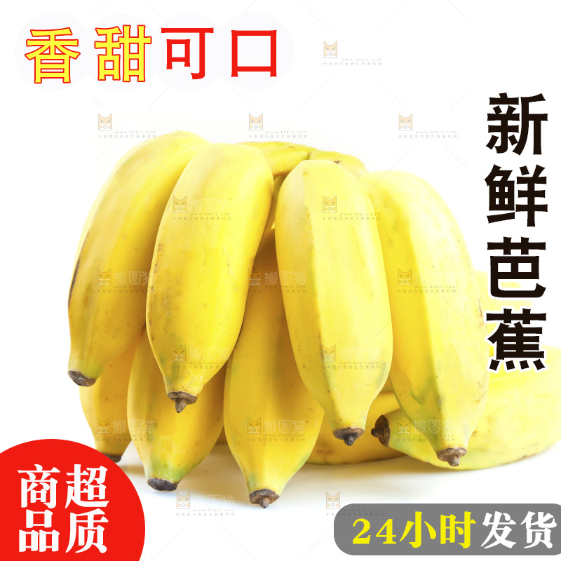 白底上的芭蕉