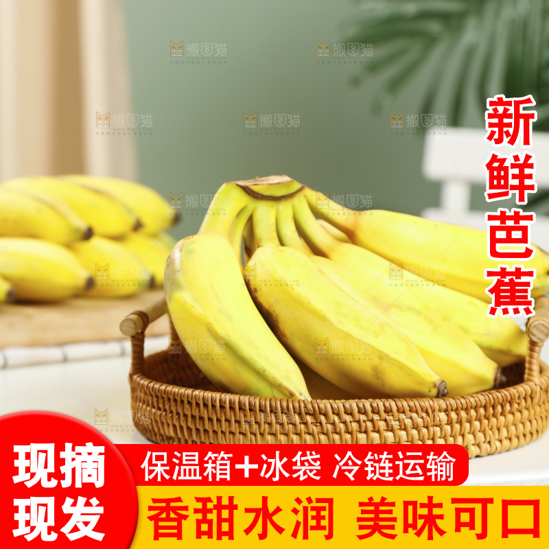浅底上的芭蕉