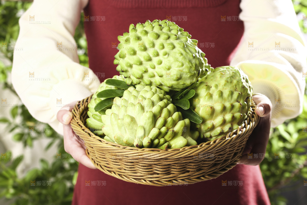 手里拿着释迦果
