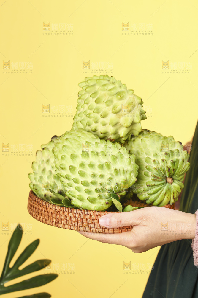 浅底上的释迦果