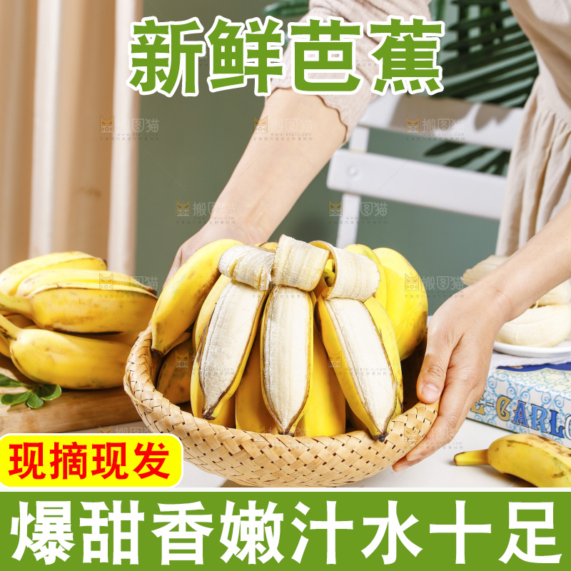 浅底上的芭蕉