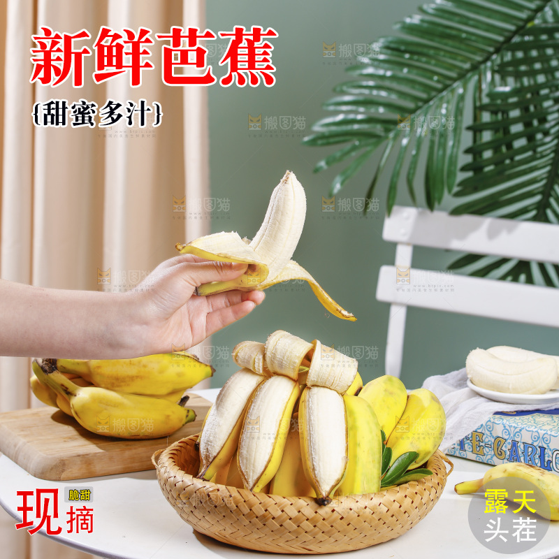 浅底上的芭蕉