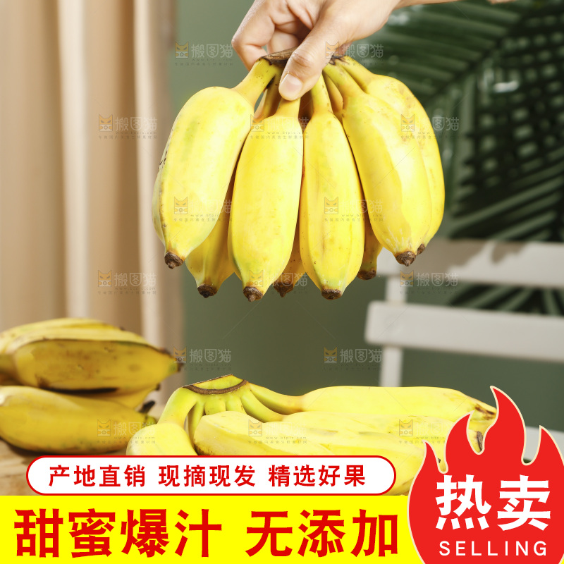 浅底上的芭蕉