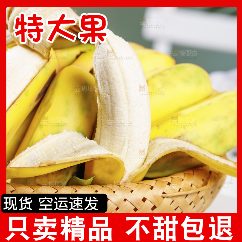 浅底上的芭蕉