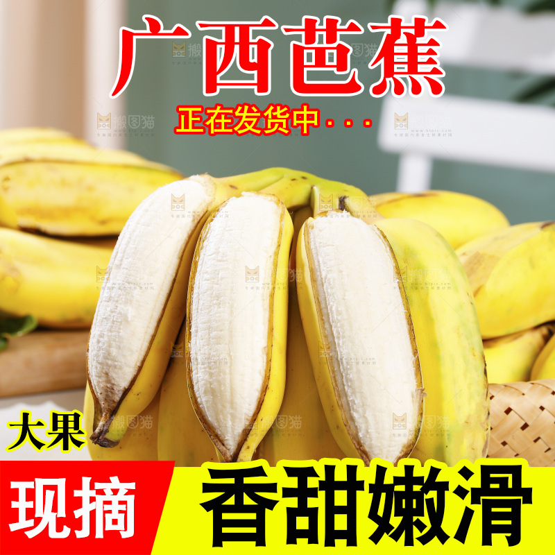 浅底上的芭蕉