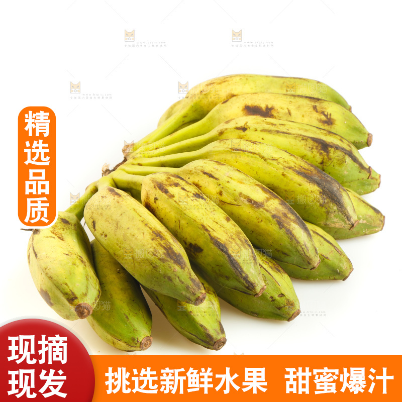 白底上的芭蕉