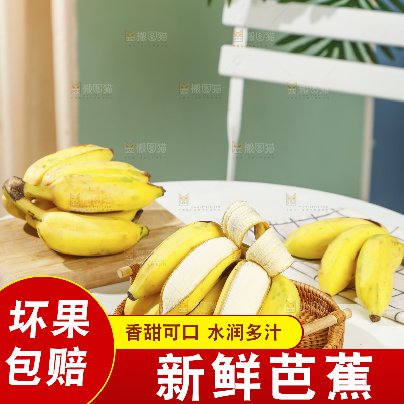 浅底上的芭蕉