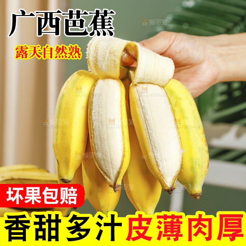 浅底上的芭蕉