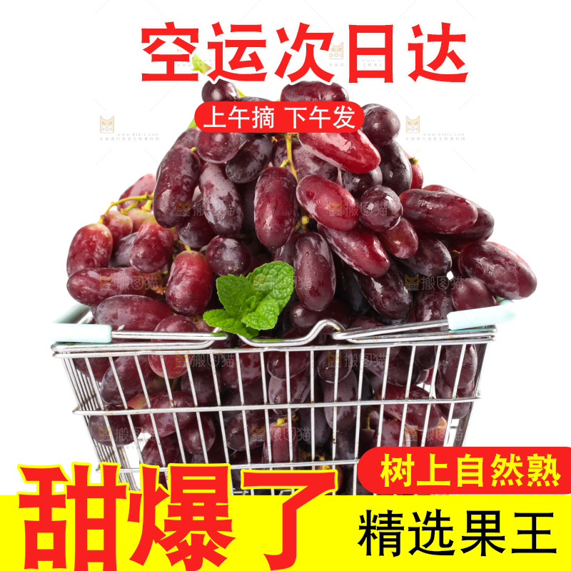 白底上的金手指葡萄