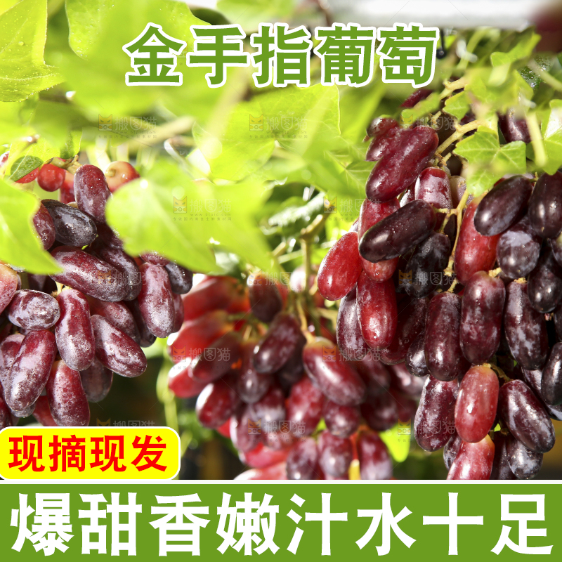 深底上的金手指葡萄