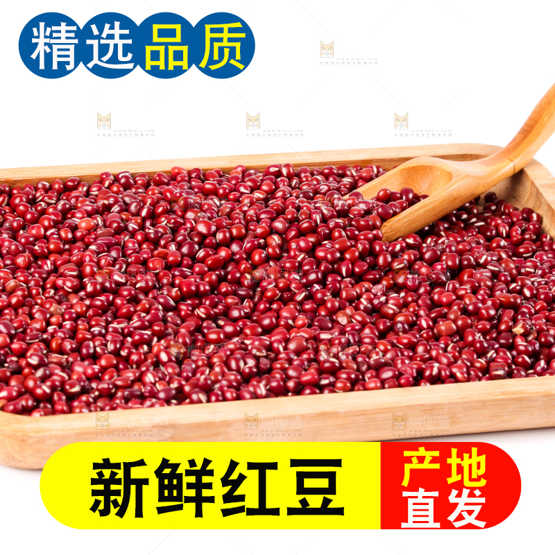 白底上的红豆