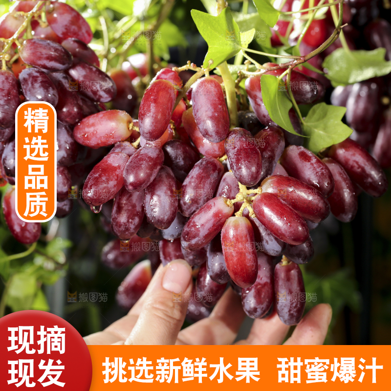 深底上的金手指葡萄