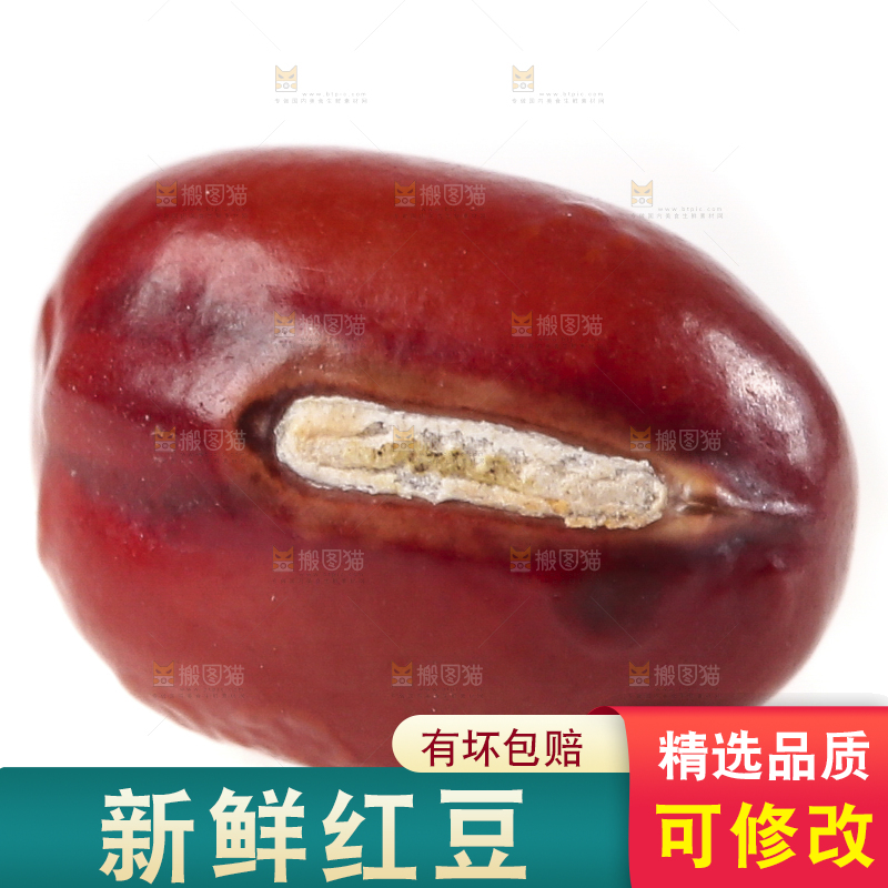白底上的红豆
