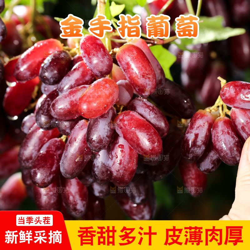 深底上的金手指葡萄
