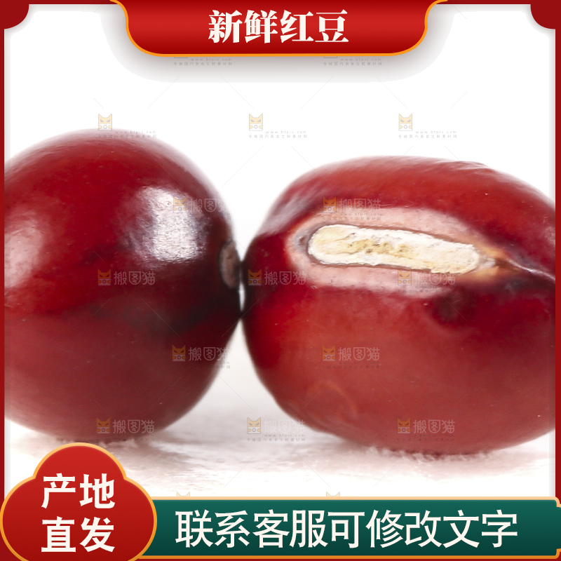 白底上的红豆