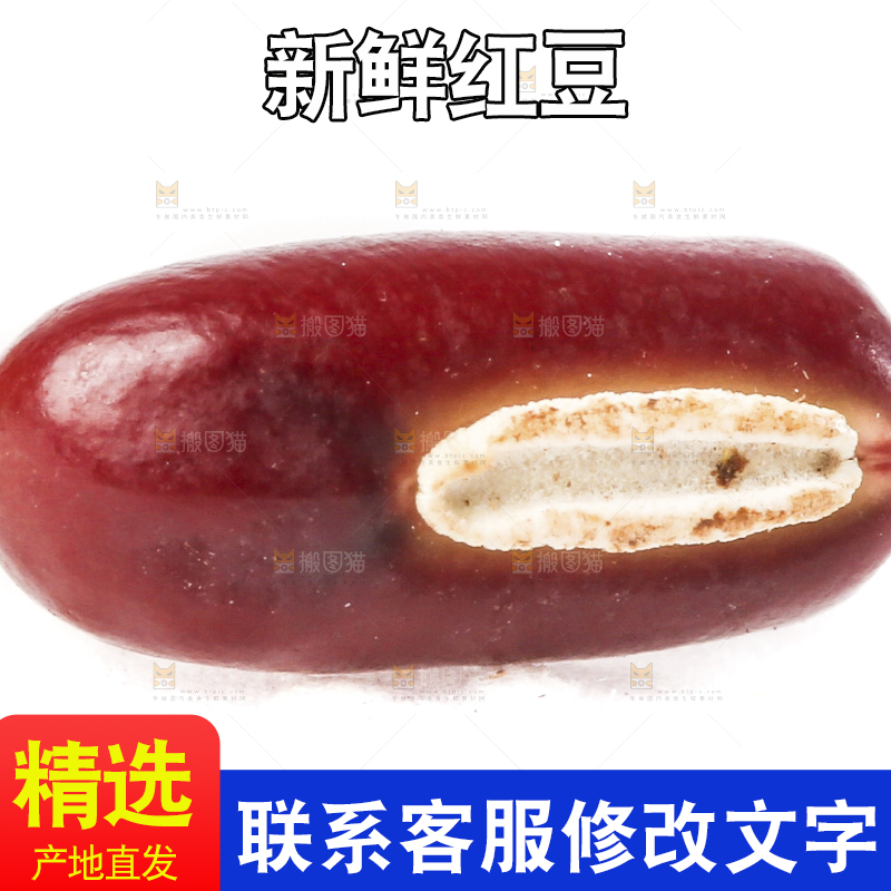 白底上的红豆