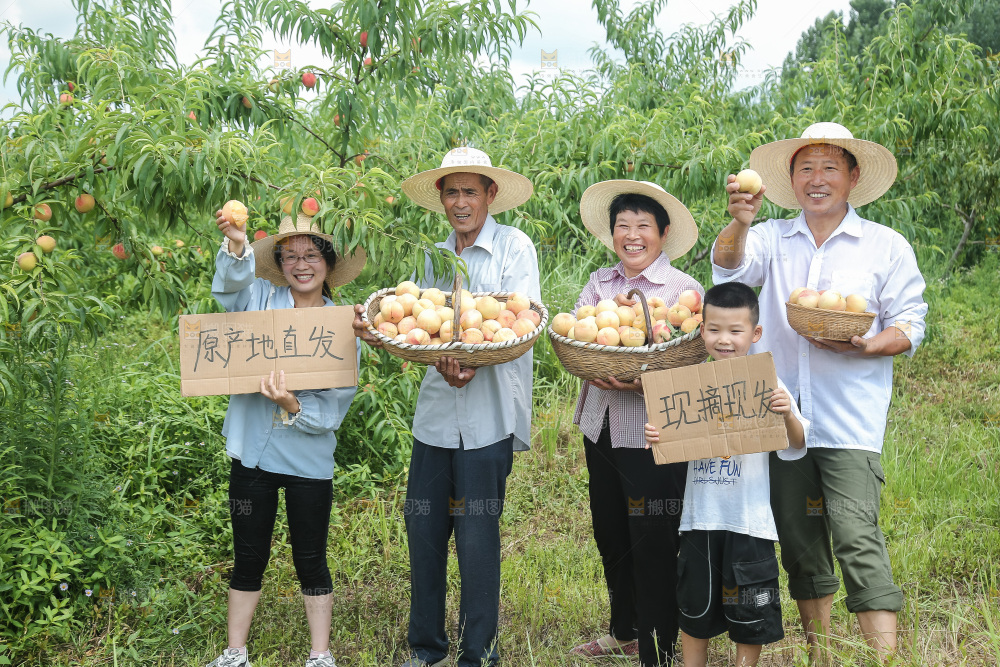 手里拿着现摘水蜜桃