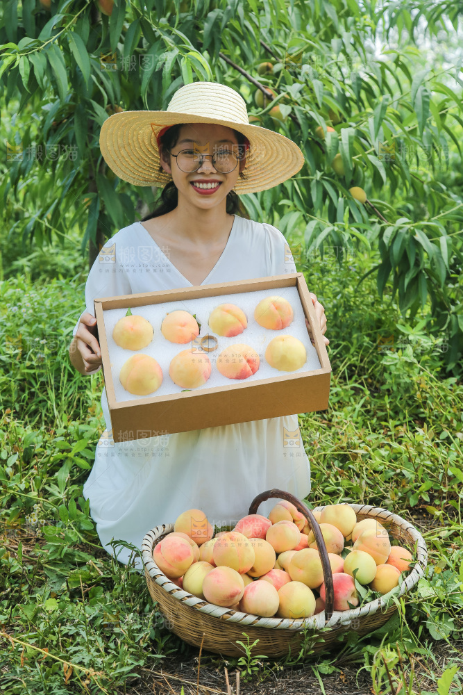 手里拿着现摘水蜜桃