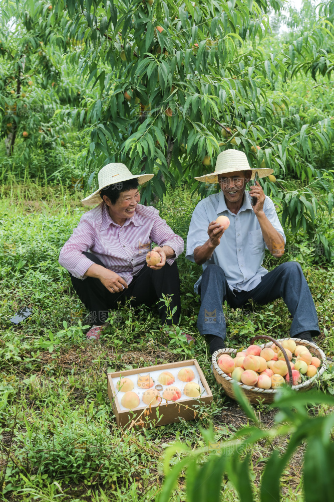 手里拿着现摘水蜜桃