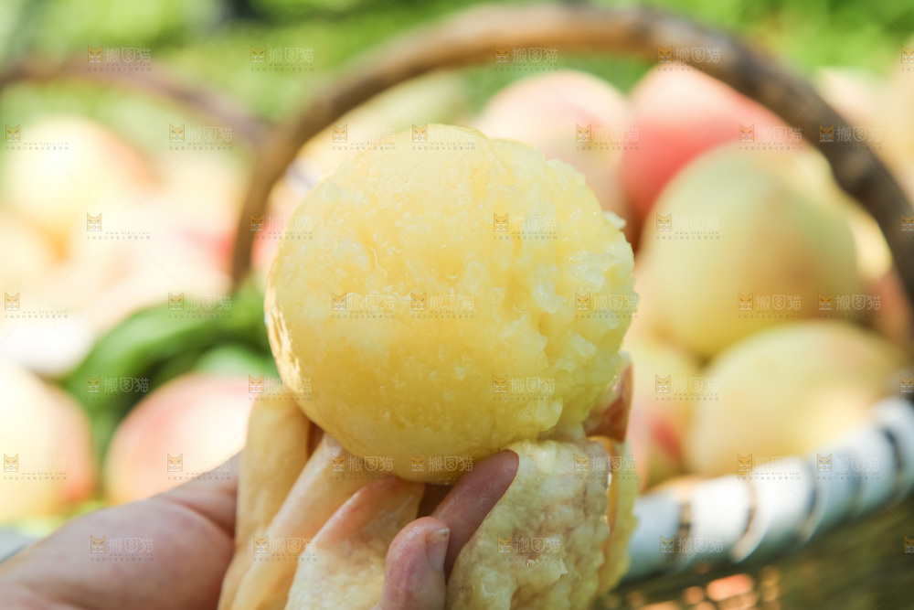 手里拿着现摘水蜜桃