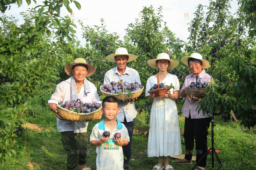 新鲜现摘黑布林