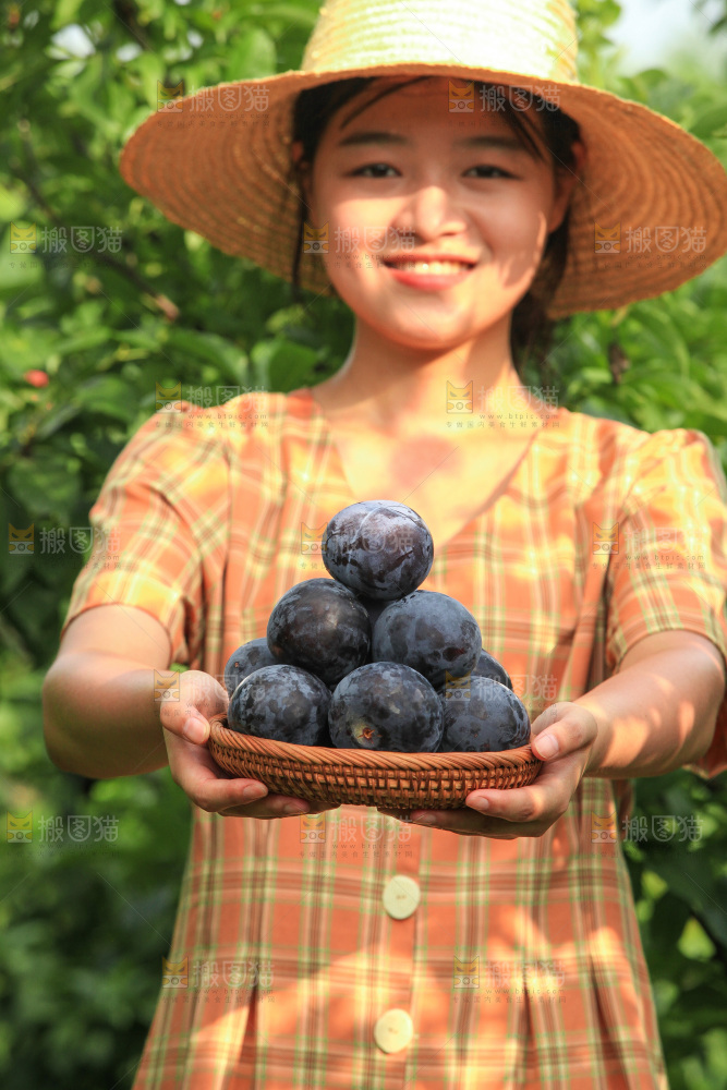 新鲜现摘黑布林