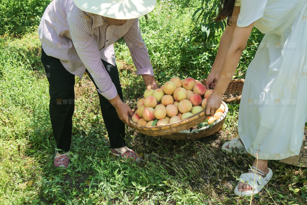 手里拿着现摘水蜜桃
