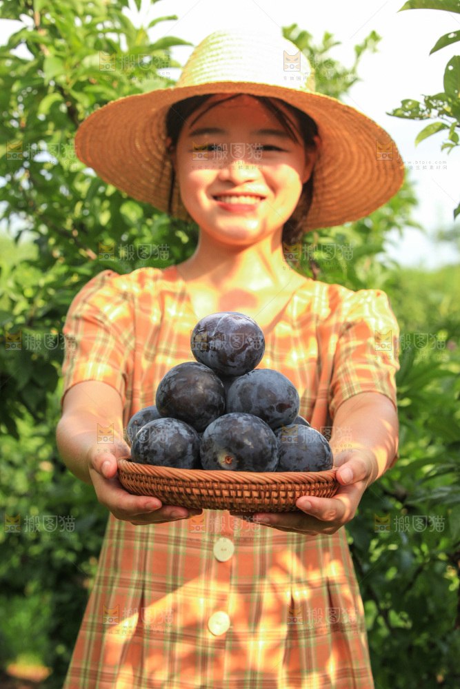 新鲜现摘黑布林