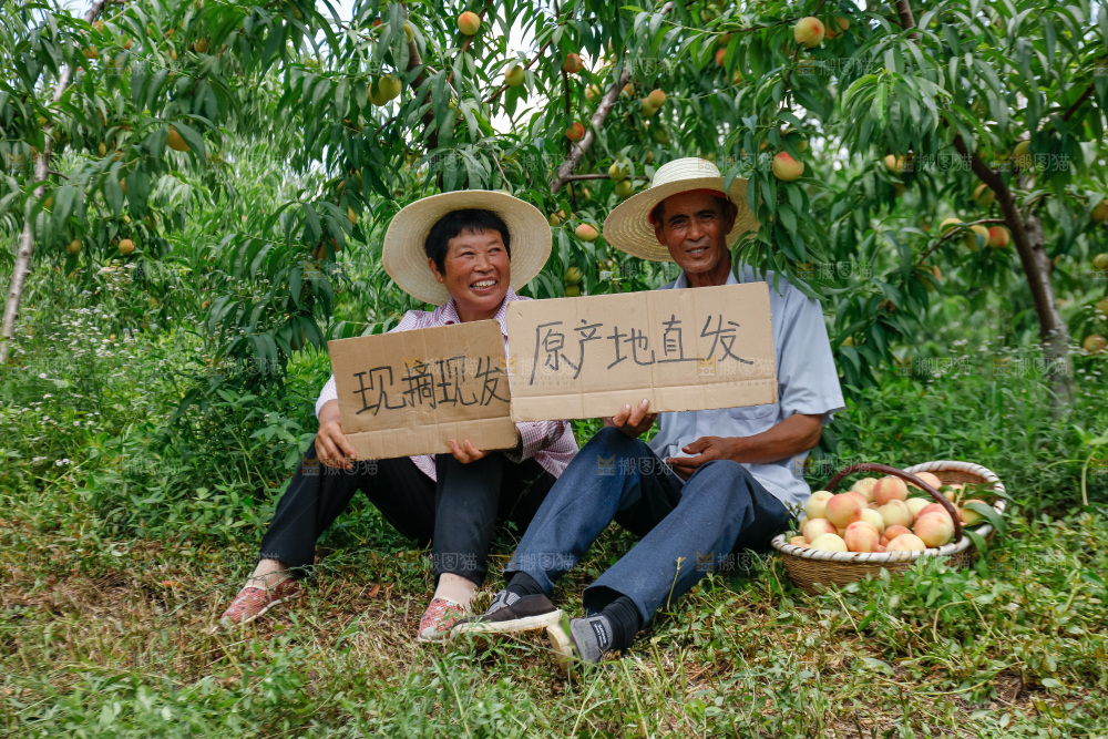 手里拿着现摘水蜜桃