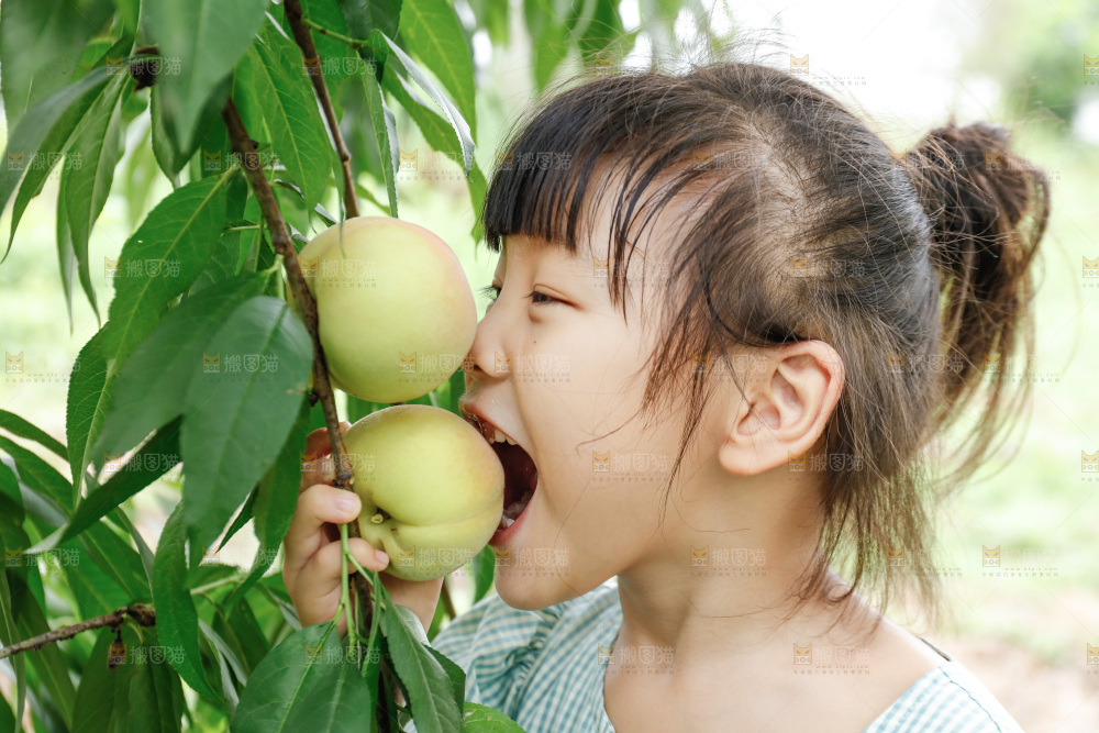 手里拿着现摘水蜜桃