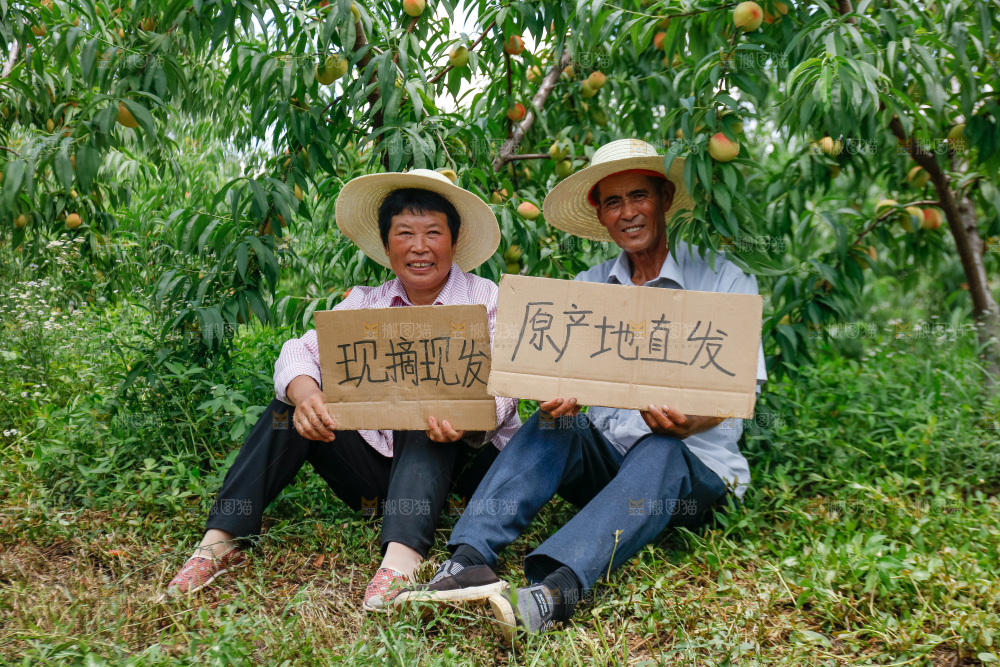 糯玉米-人物