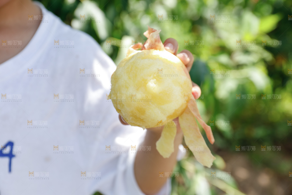 手里拿着现摘水蜜桃