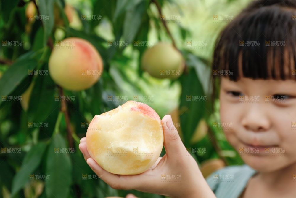 手里拿着现摘水蜜桃