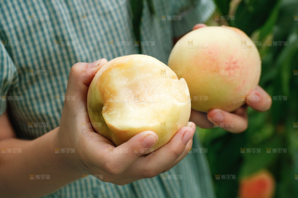 手里拿着现摘水蜜桃