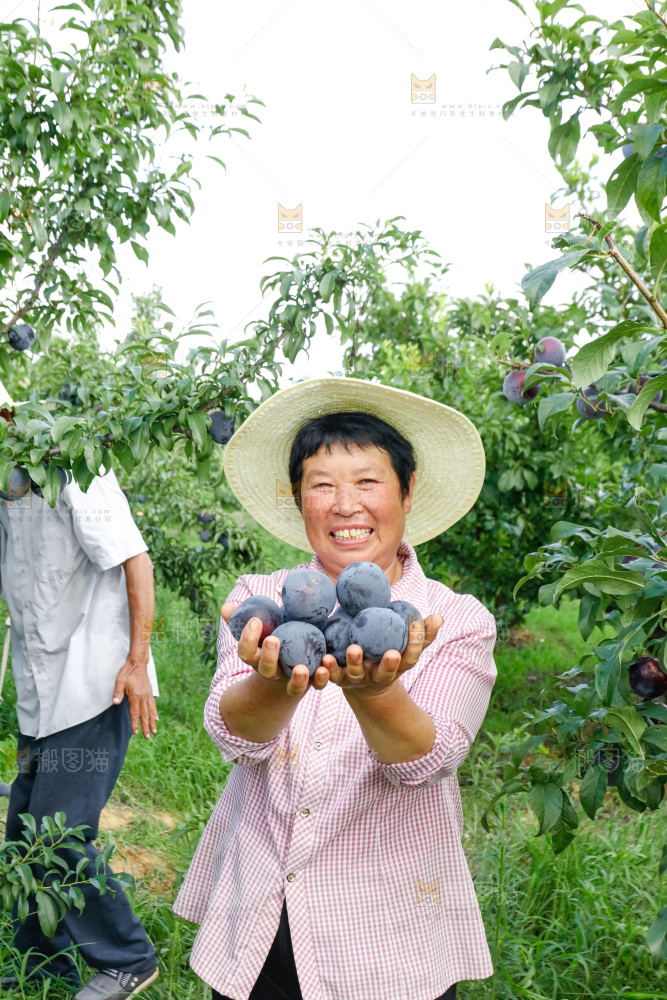 新鲜现摘黑布林
