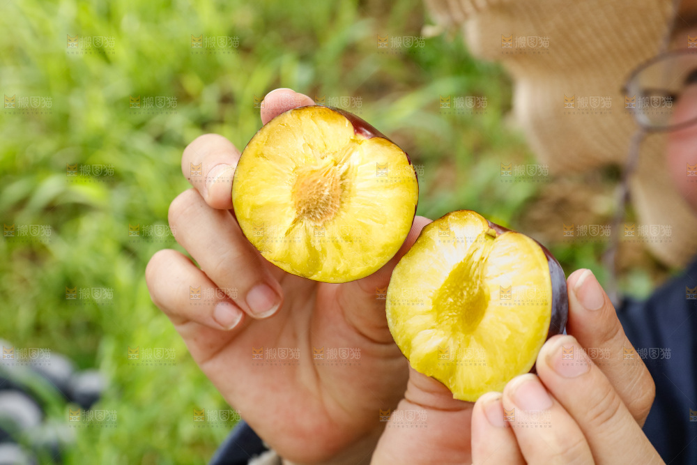 新鲜现摘黑布林