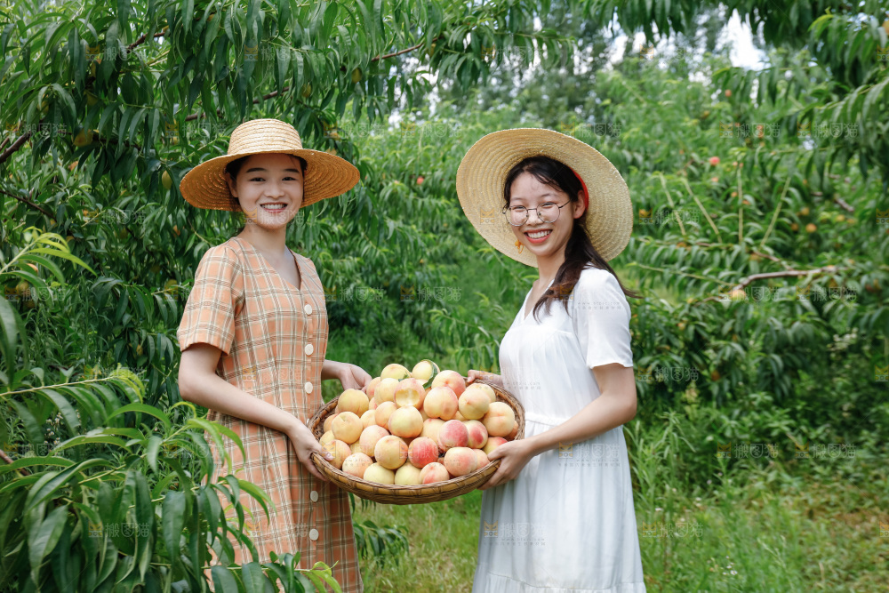手里拿着现摘水蜜桃