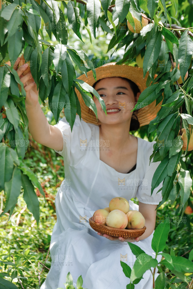 手里拿着现摘水蜜桃