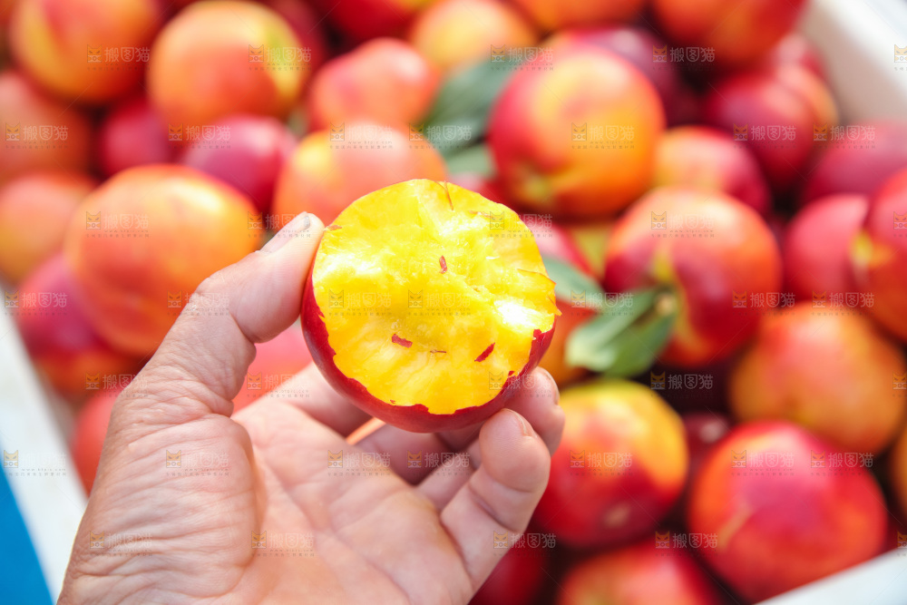 现摘的新鲜黄心油桃