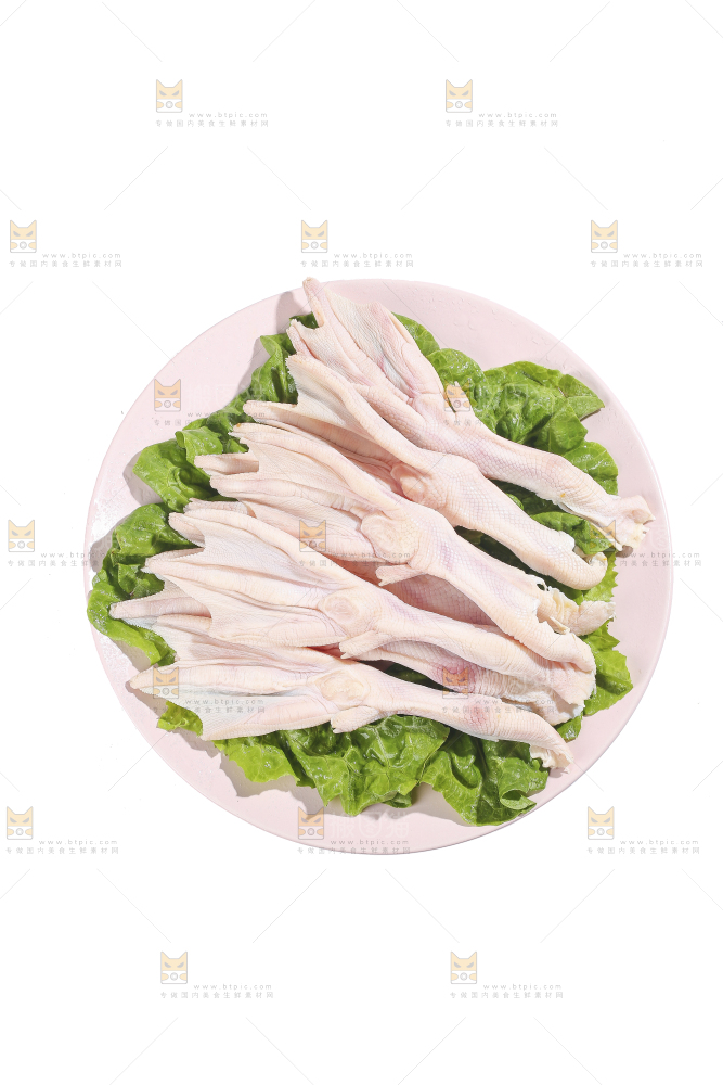 白底上的新鲜鸭掌