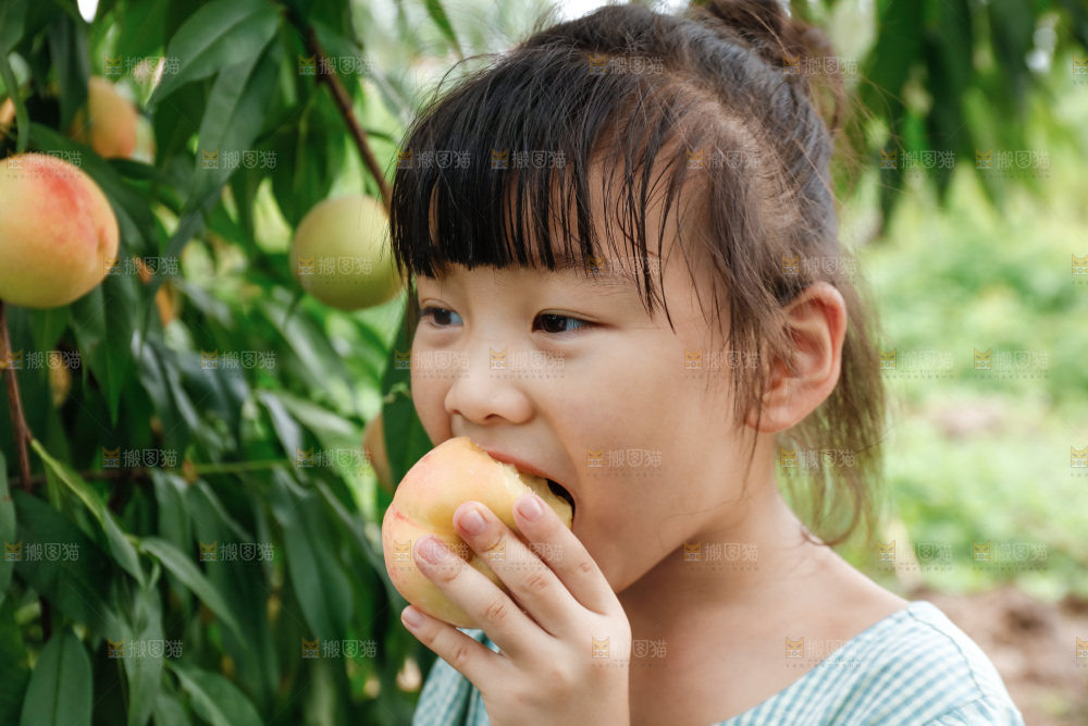 手里拿着现摘水蜜桃